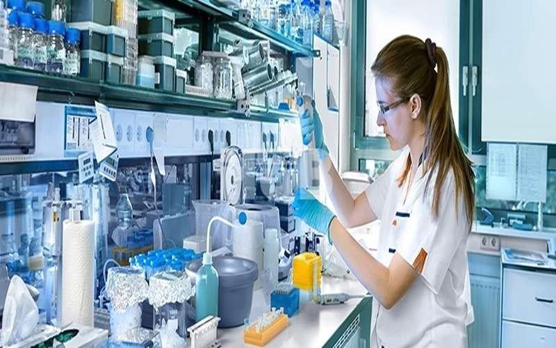 lab