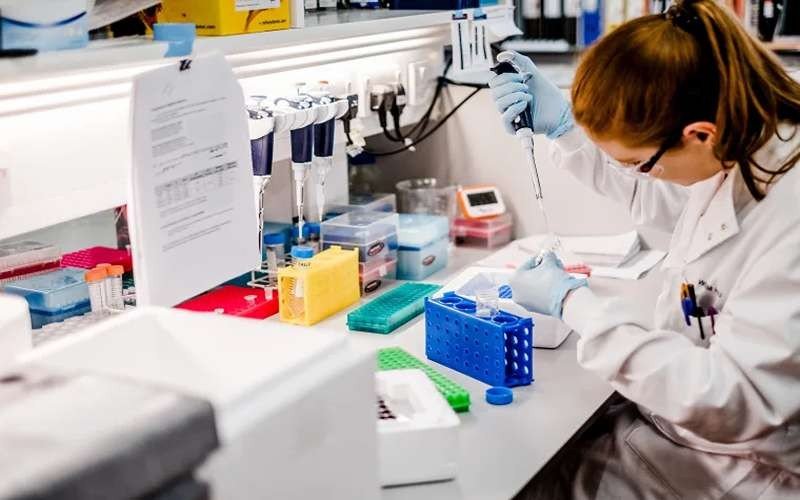 lab