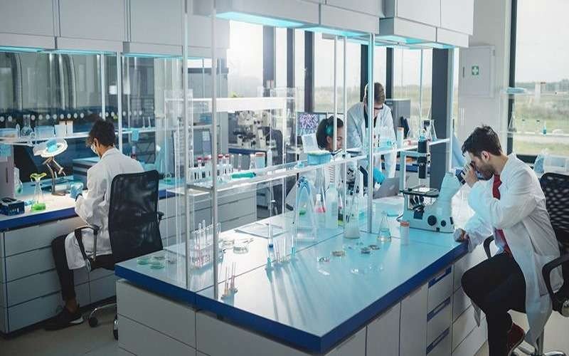 lab